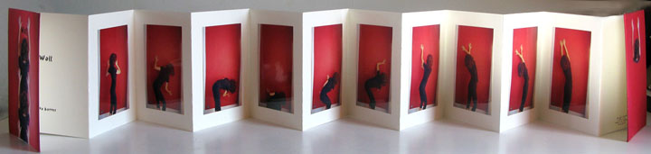 wall artist book